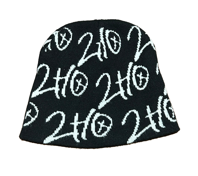2HO "The Original" Beanie